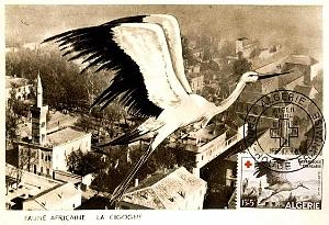 TIMBRES 1 ER JOUR (181)
